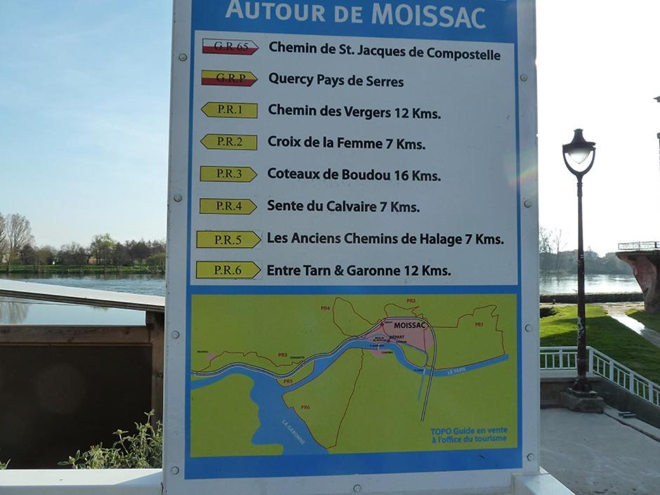 La Villa Des Muriers Tres Spacieuse Dans Un Environnement Calme Malause Buitenkant foto